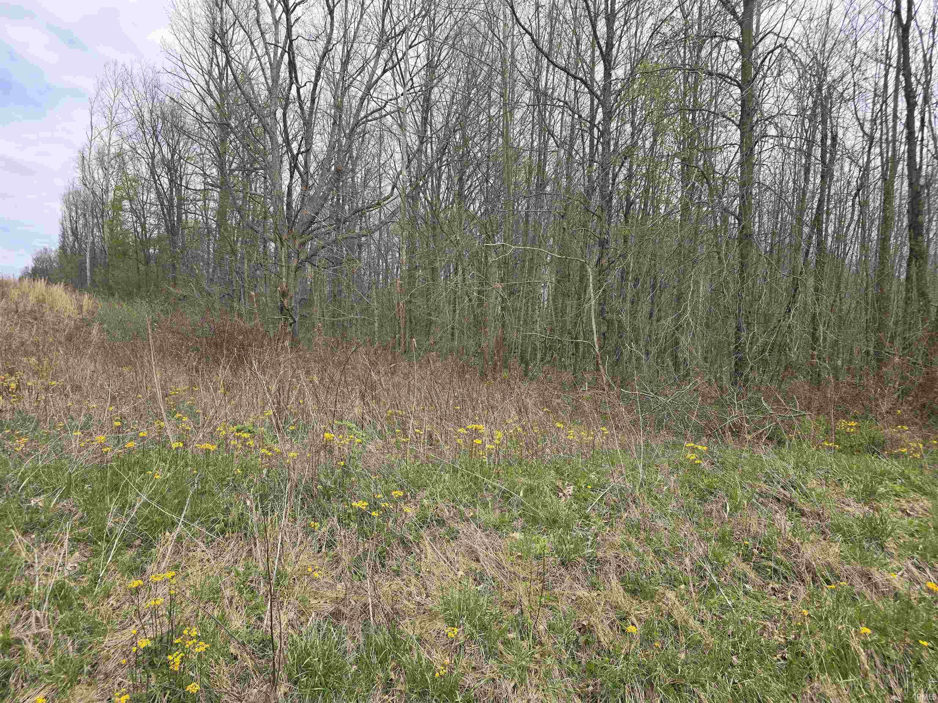 9507 North Neill Road Bloomfield, IN 47424 - Photo 10 of 10