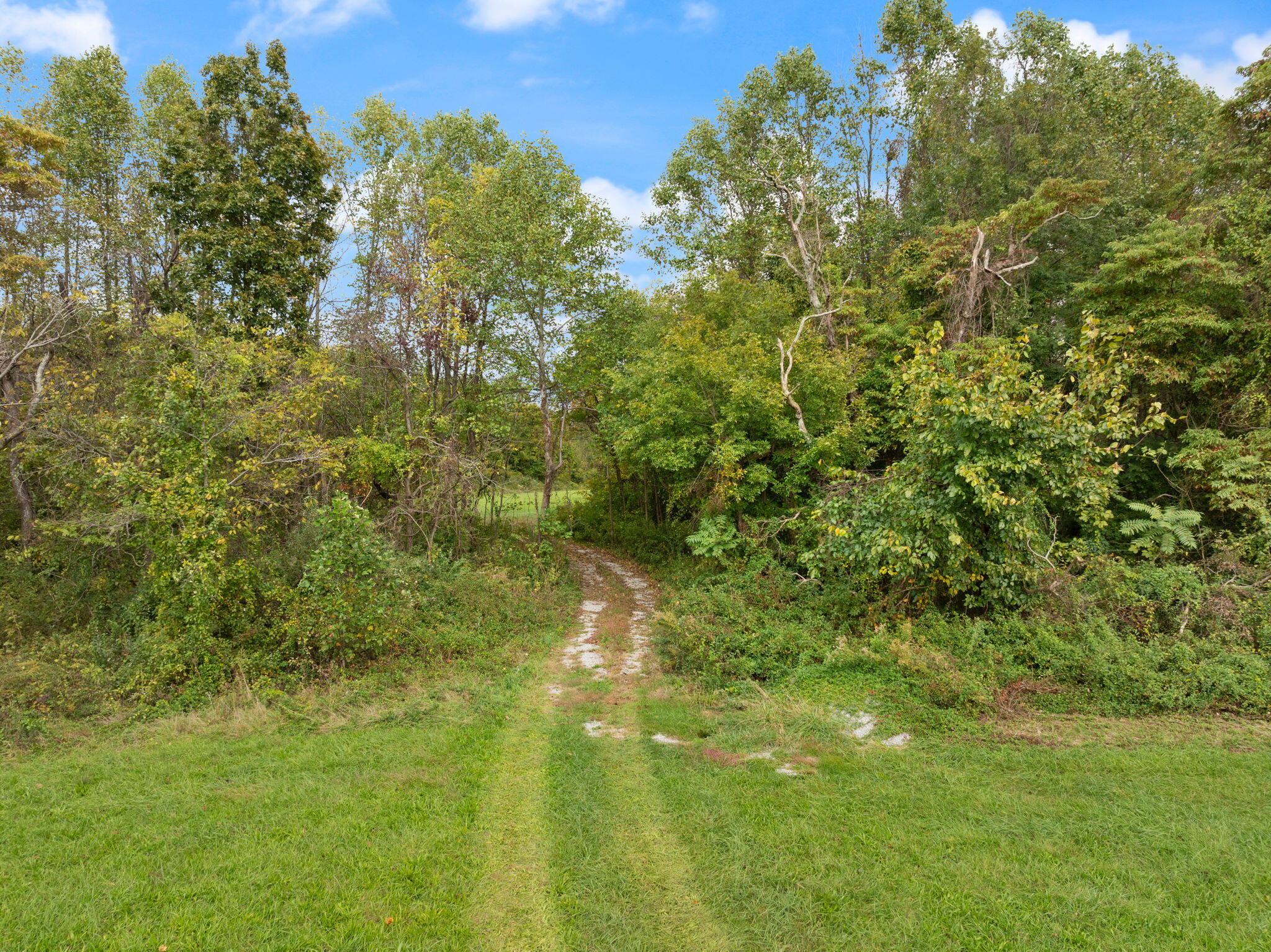 1 Tilley Loop Science Hill, KY 42553 - Photo 23 of 26 14-web-or-mls-DJI_0234