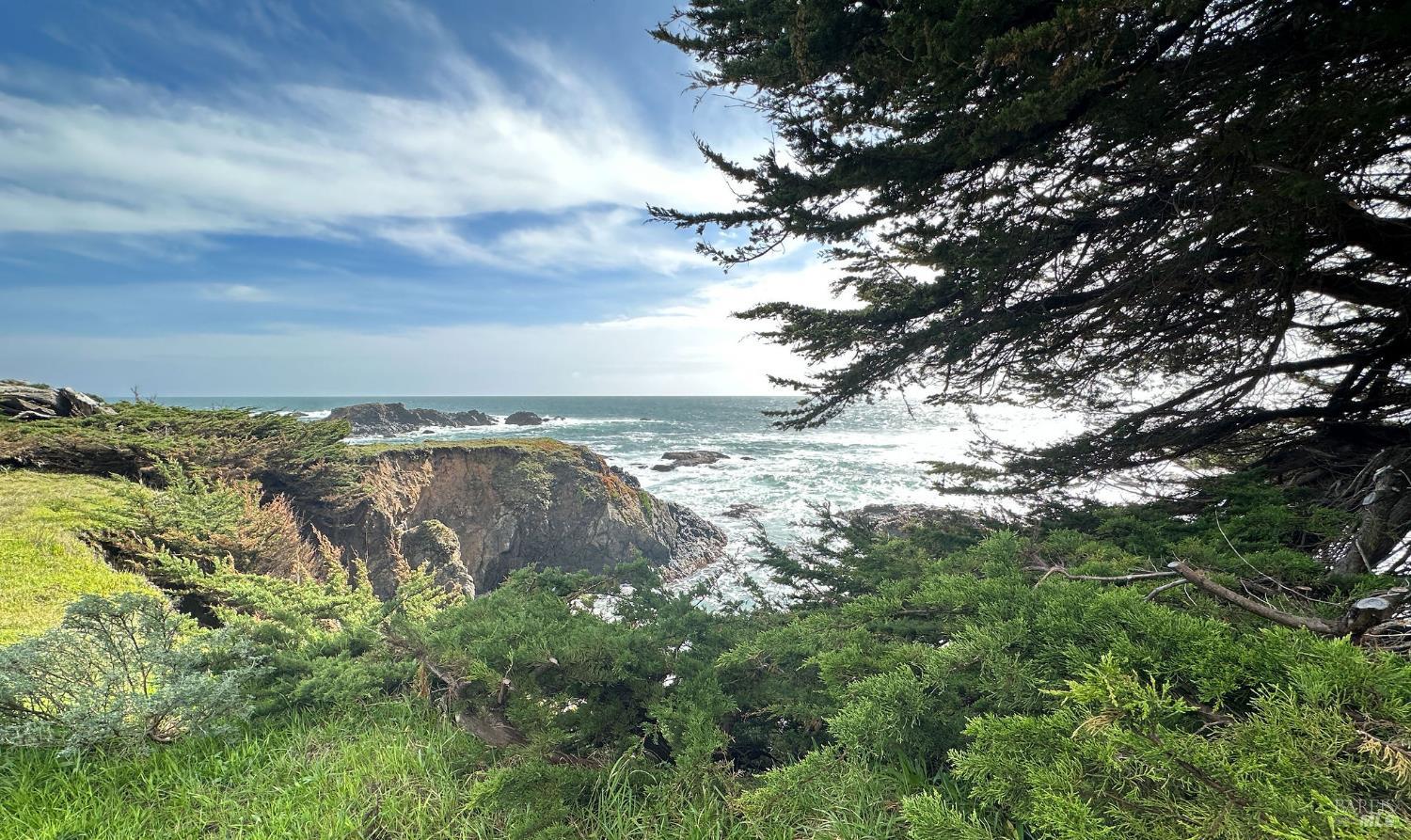 41 Sea Pine The Sea Ranch, CA 95497 - Photo 17 of 17 a view of a yard with an outdoor space