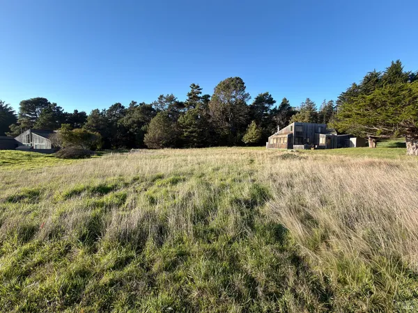 a view of a yard
