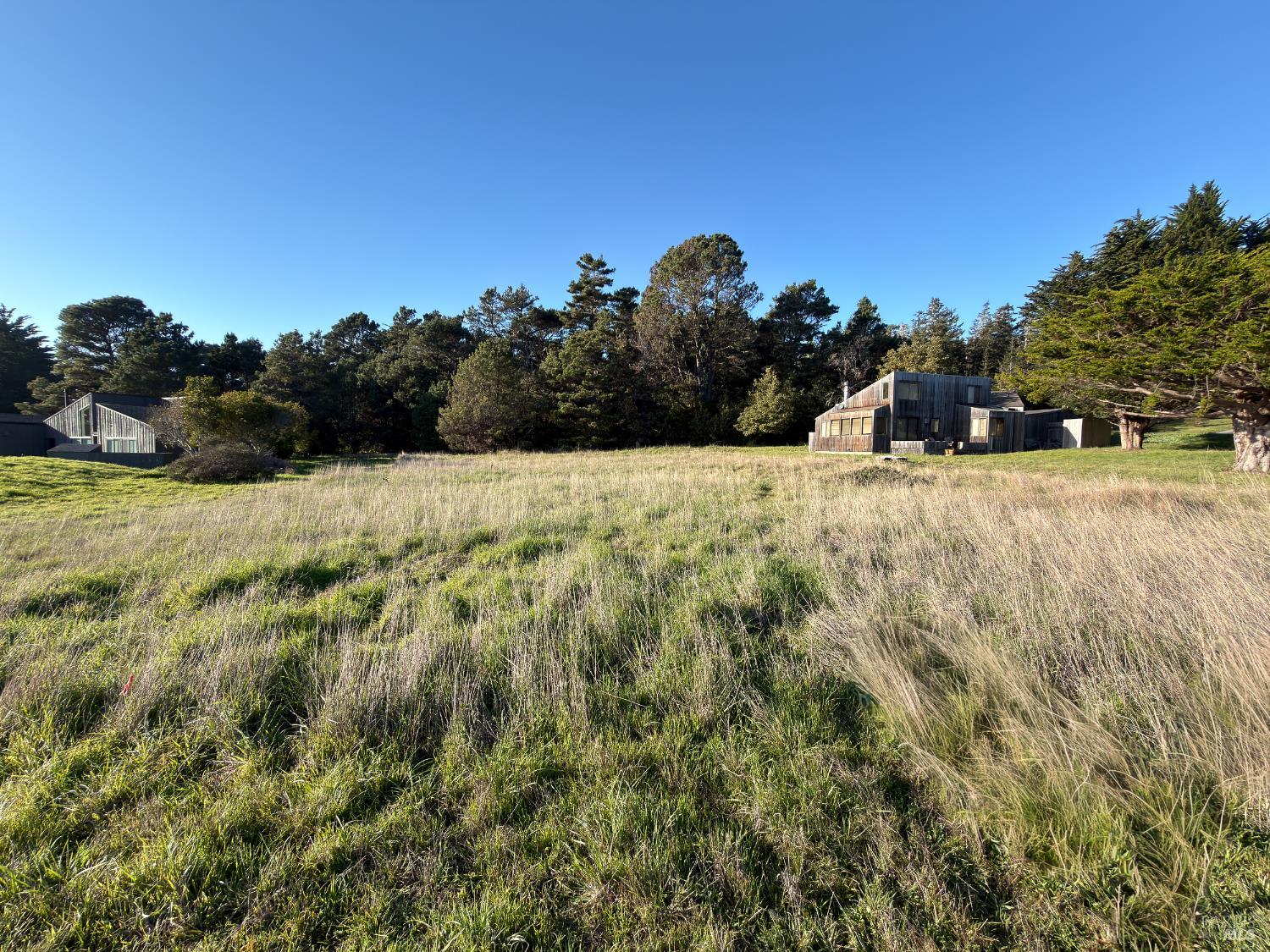 41 Sea Pine The Sea Ranch, CA 95497 - Photo 7 of 17 a view of a yard