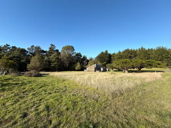 a view of a yard