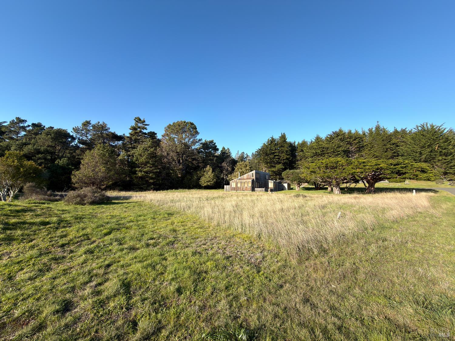 41 Sea Pine The Sea Ranch, CA 95497 - Photo 8 of 17 a view of a yard