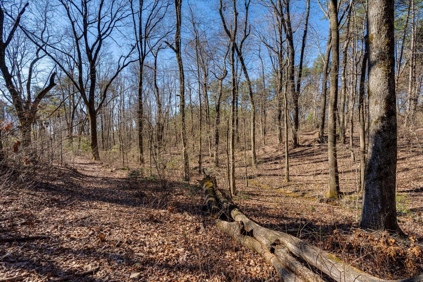 805 Dukes Road Signal Mountain, TN 37377 - Photo 29 of 33 Gallery Image 29