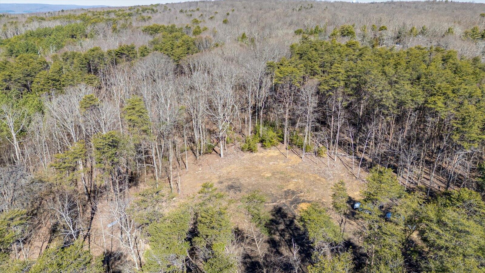 805 Dukes Road Signal Mountain, TN 37377 - Photo 3 of 33 Gallery Image 3