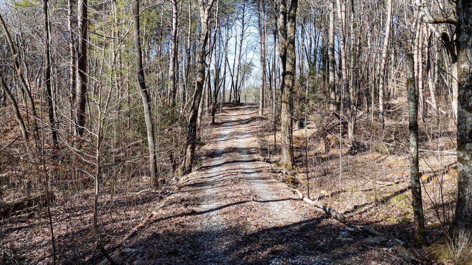 805 Dukes Road Signal Mountain, TN 37377 - Photo 8 of 33 Gallery Image 8