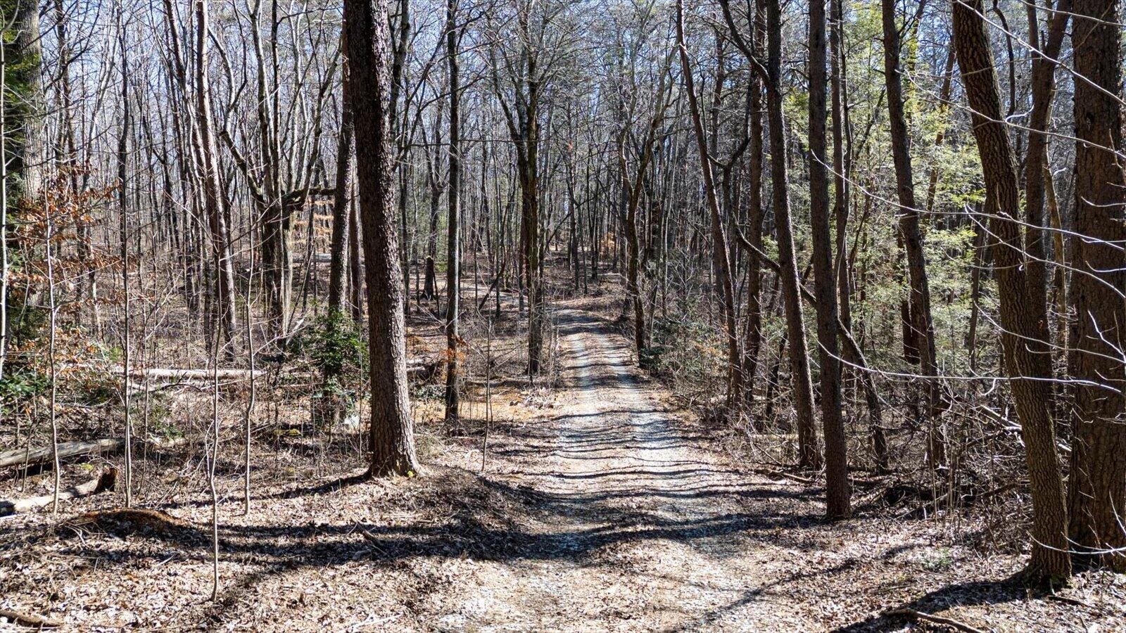 805 Dukes Road Signal Mountain, TN 37377 - Photo 9 of 33 Gallery Image 9