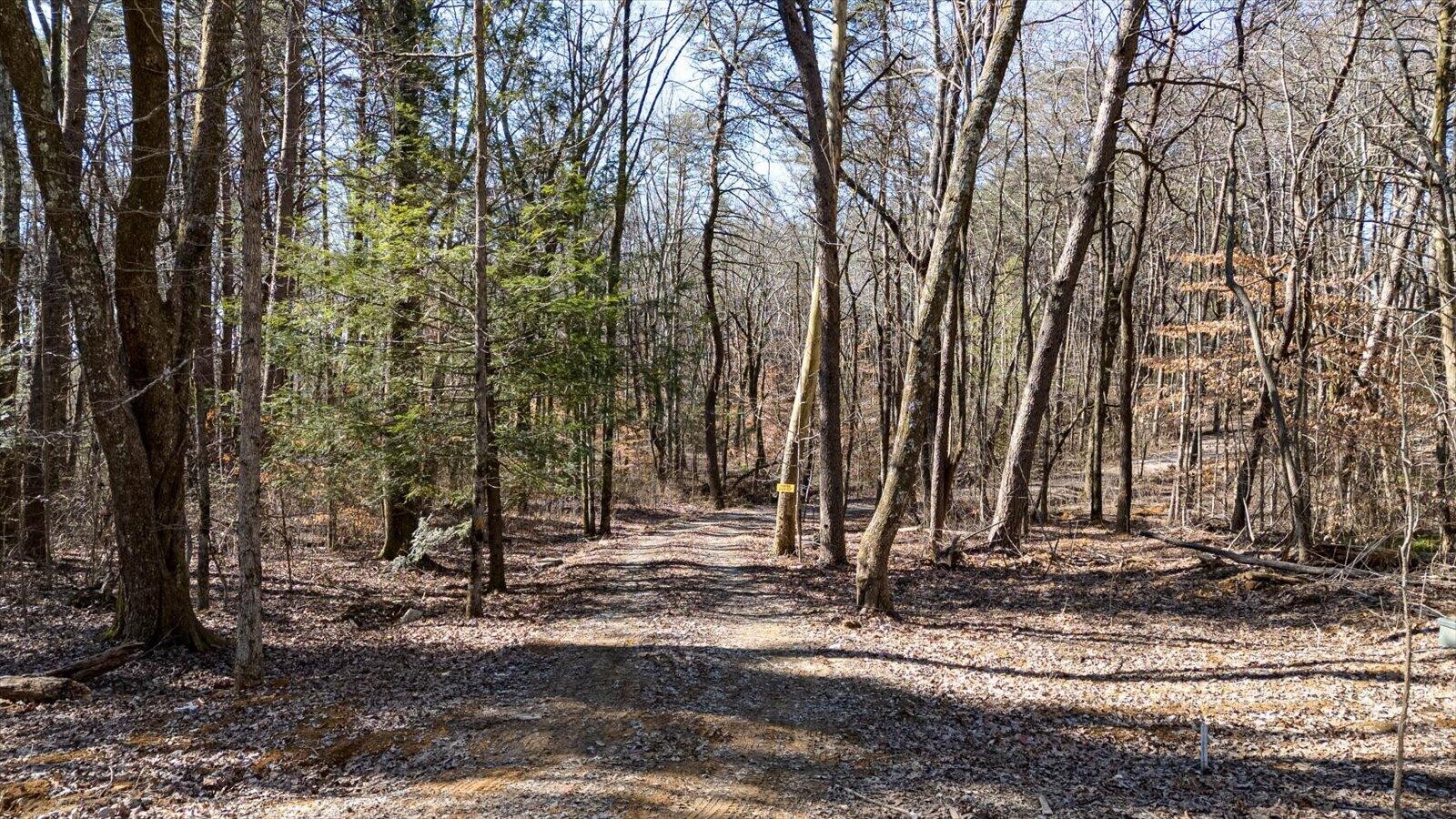 805 Dukes Road Signal Mountain, TN 37377 - Photo 10 of 33 Gallery Image 10