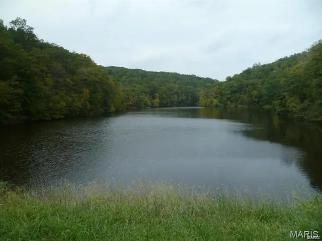 $20,000 | 1090 Forest Way, Marthasville, MO 63357