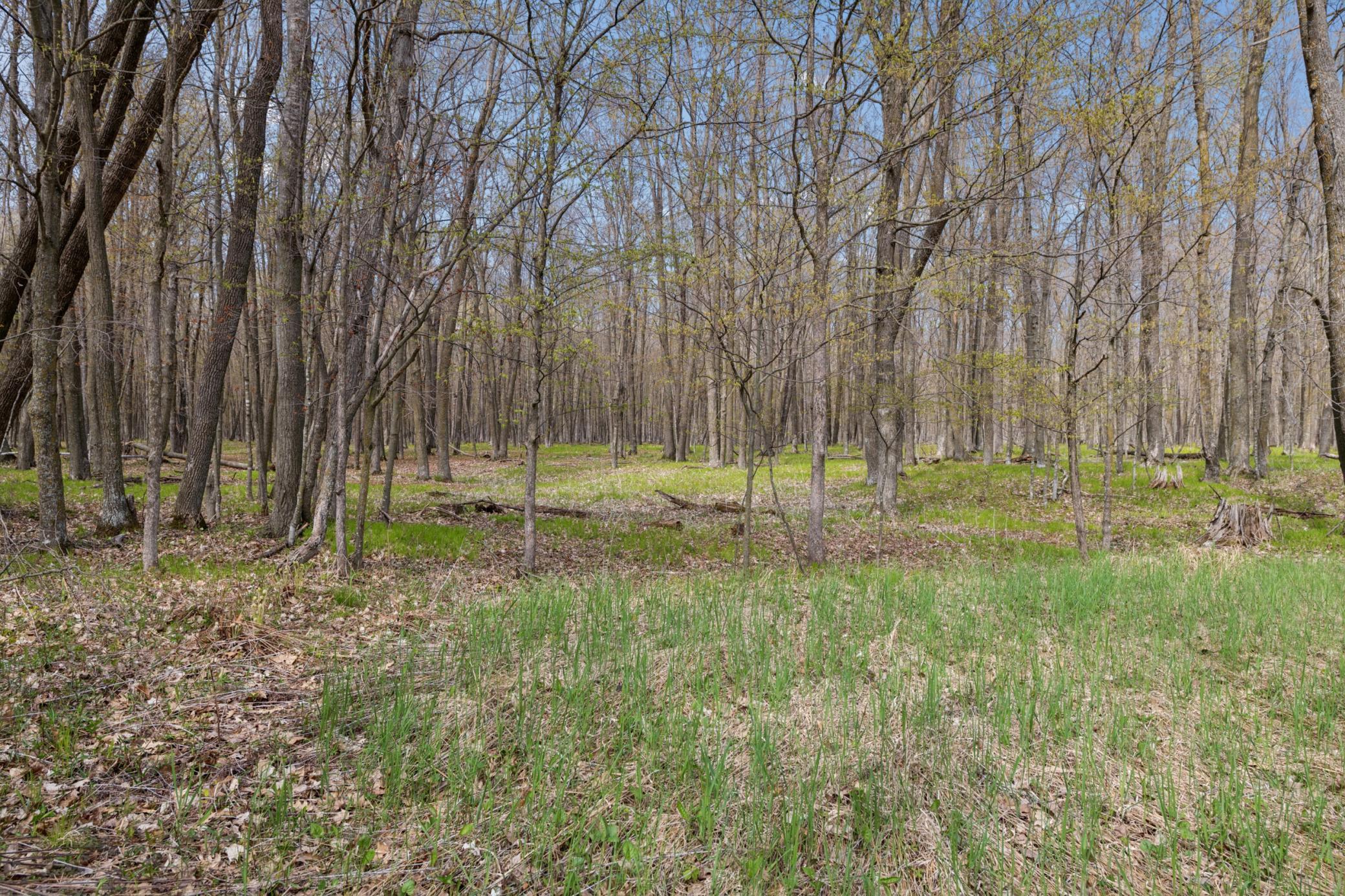 316 Wennerberg Shore Drive Shell Lake, WI 54871 - Photo 23 of 29