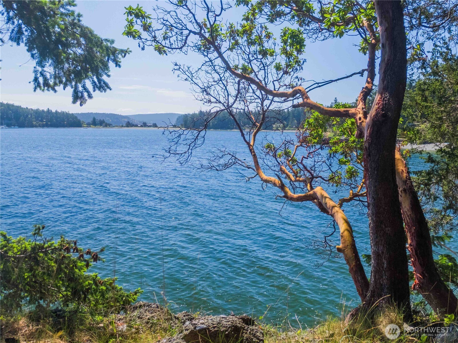 755 Ferry Road Lopez Island, WA 98261 - Photo 7 of 38
