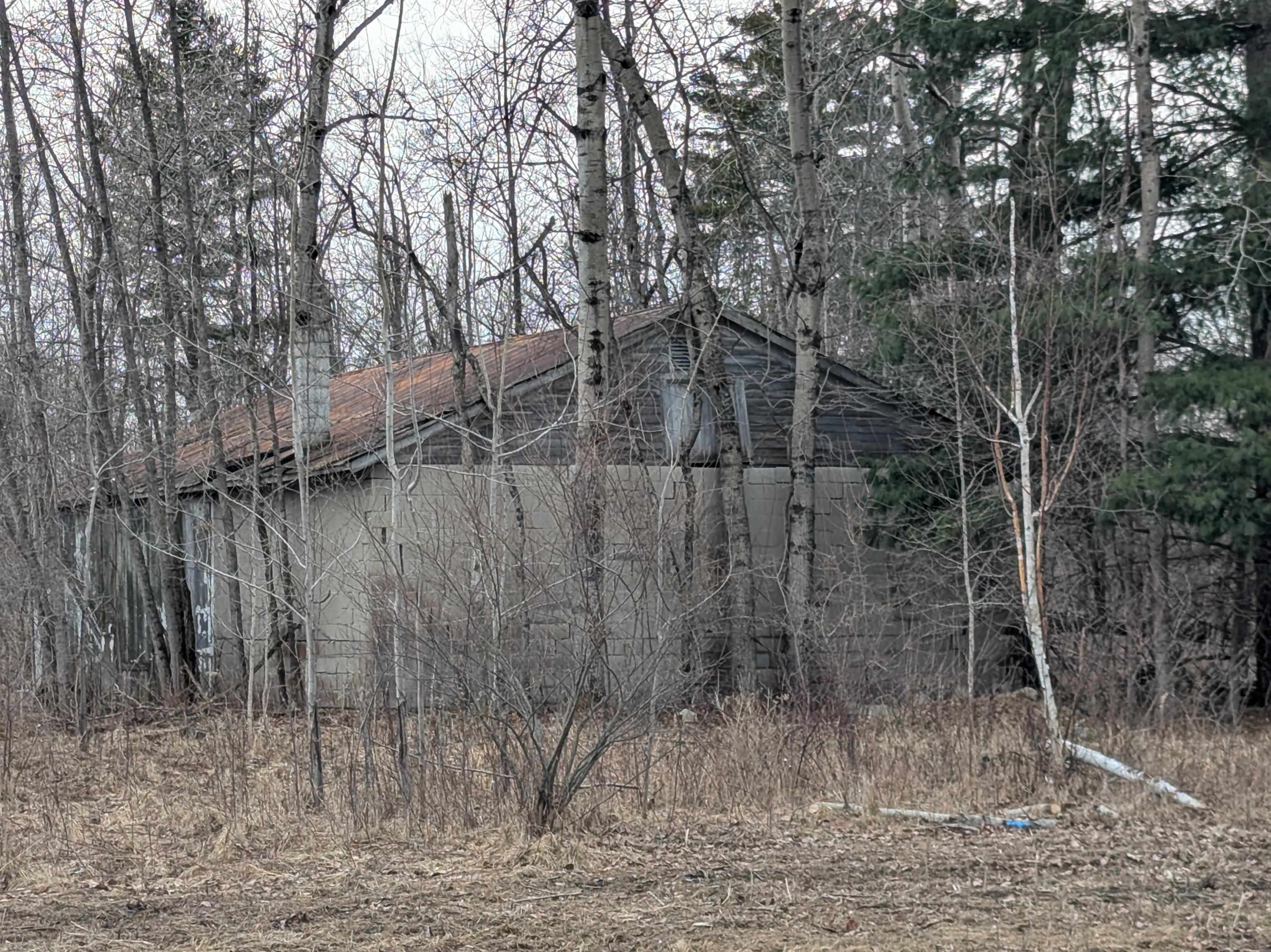 4438 Reynolds Road Turner, MI 48765 - Photo 32 of 40