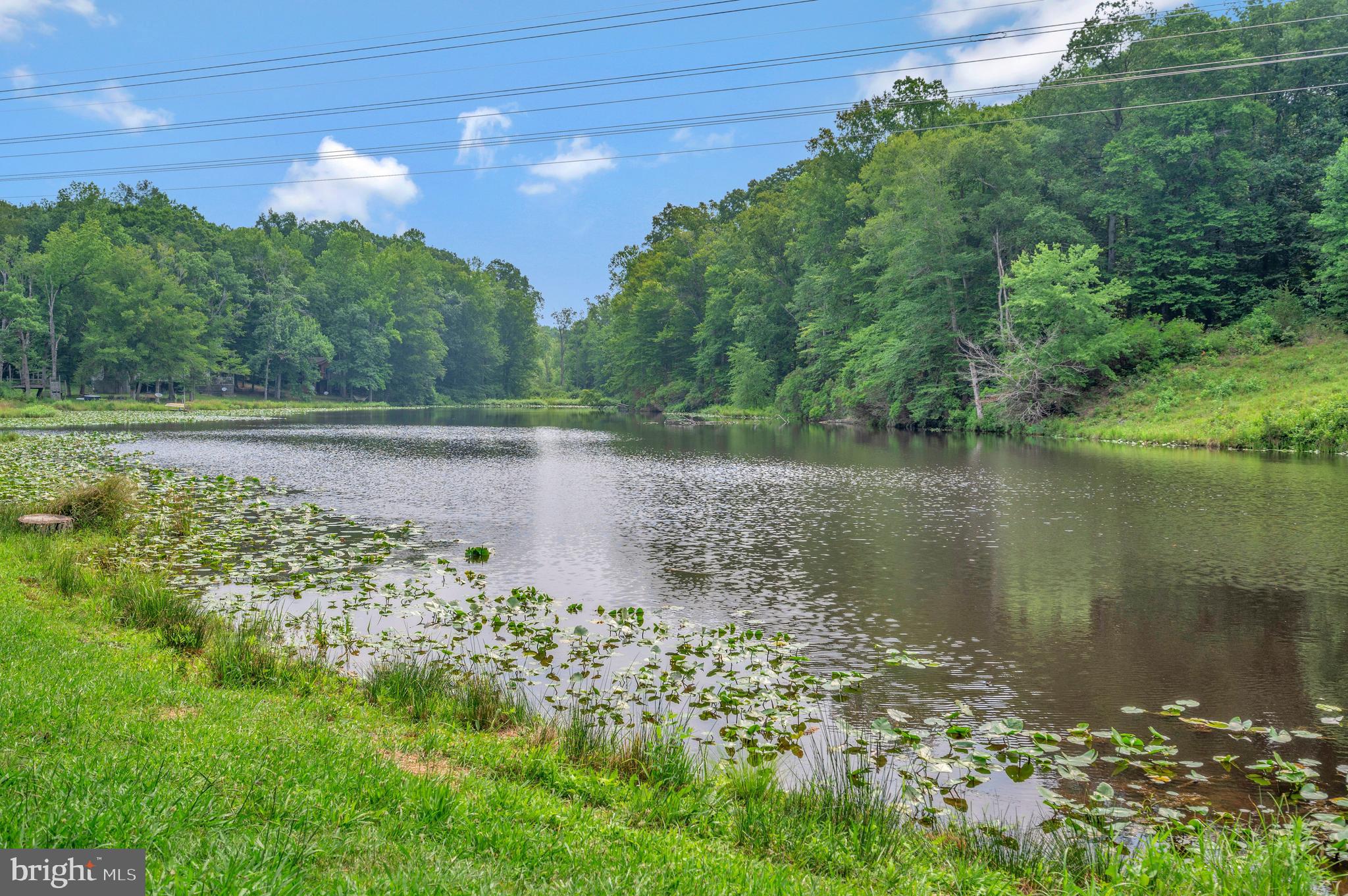 12100 Shortleaf Road Ruther Glen, VA 22546 - Photo 29 of 37 Gallery Image 29