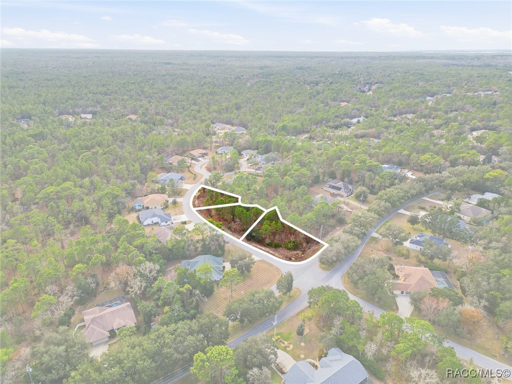 2 Nephthytis Court Homosassa, FL 34446 - Photo 2 of 21