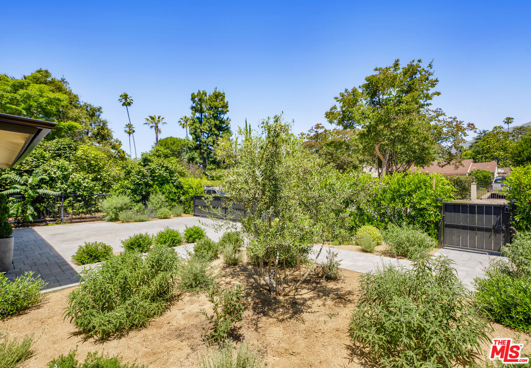 1364 East Woodbury Road Pasadena, CA 91104 - Photo 5 of 50 a view of a garden with plants