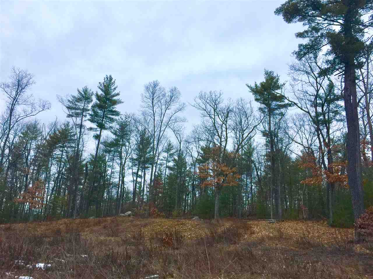 Greenleaf Street Merrimack, NH 03054 - Photo 2 of 4