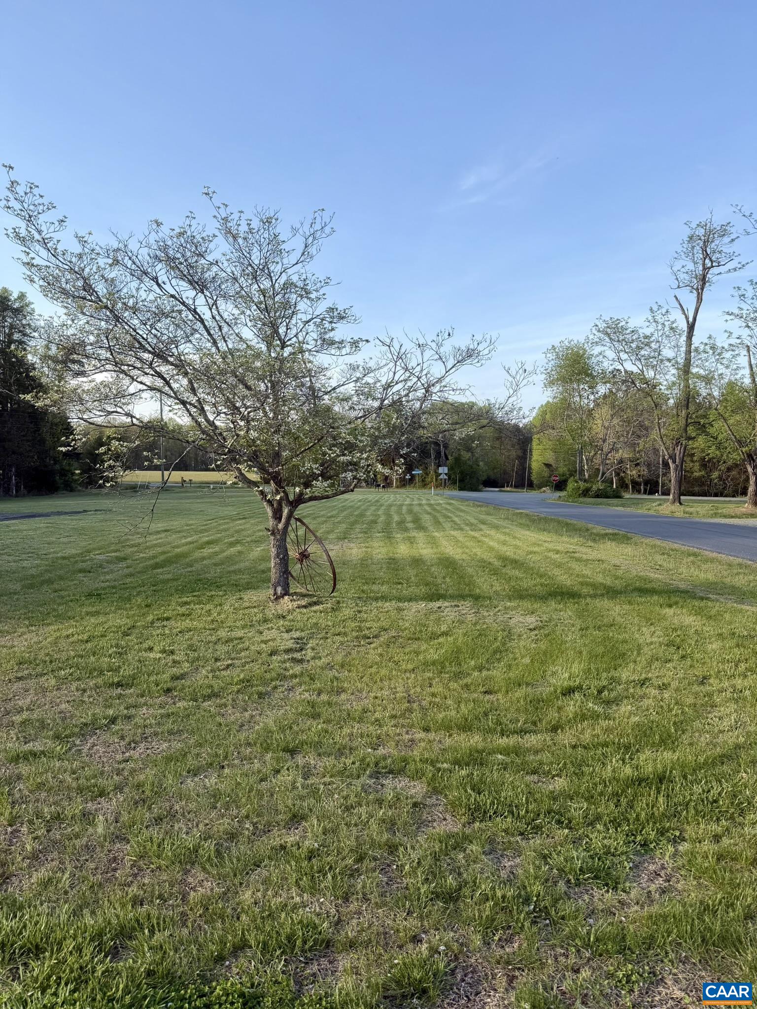 1497 Salem Church Road Palmyra, VA 22963 - Photo 7 of 37 Side/Front Yard