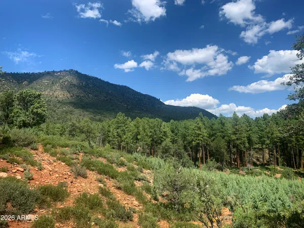 $150,000 | Lot 49 West Ruin Hill Loop, Unit 49, Pine, AZ 85544