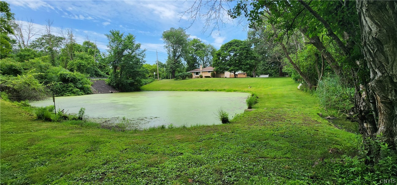 8252 Maple Road Clay, NY 13041 - Photo 45 of 49
