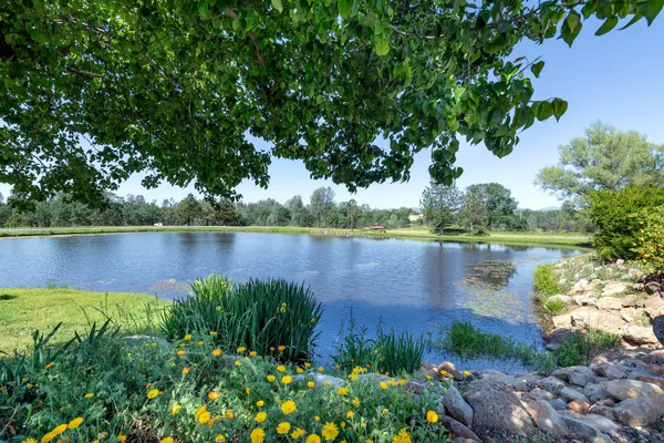 a view of a lake and a yard