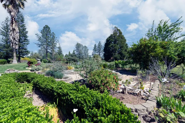 a view of a garden with plants and a pathway