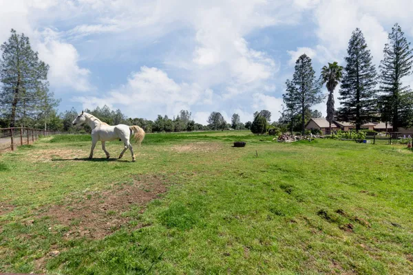 a view of a green field with wooden fence