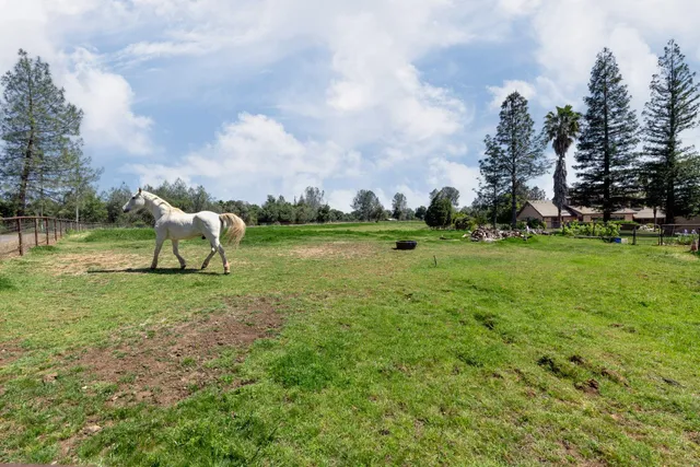 a view of a green field with wooden fence
