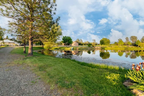 a view of yard with swimming pool