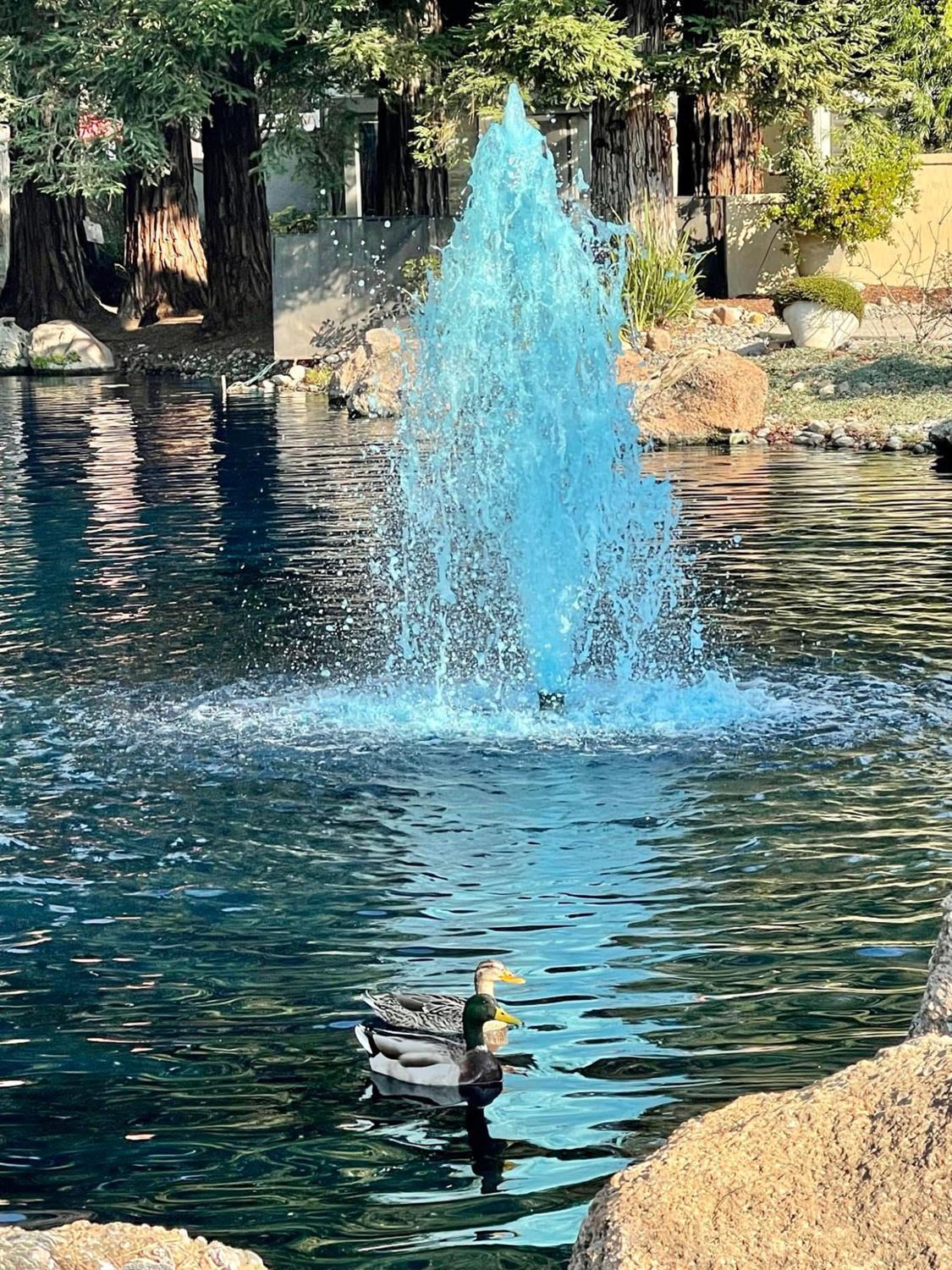 4012 Copper Kettle Court Modesto, CA 95355 - Photo 47 of 47