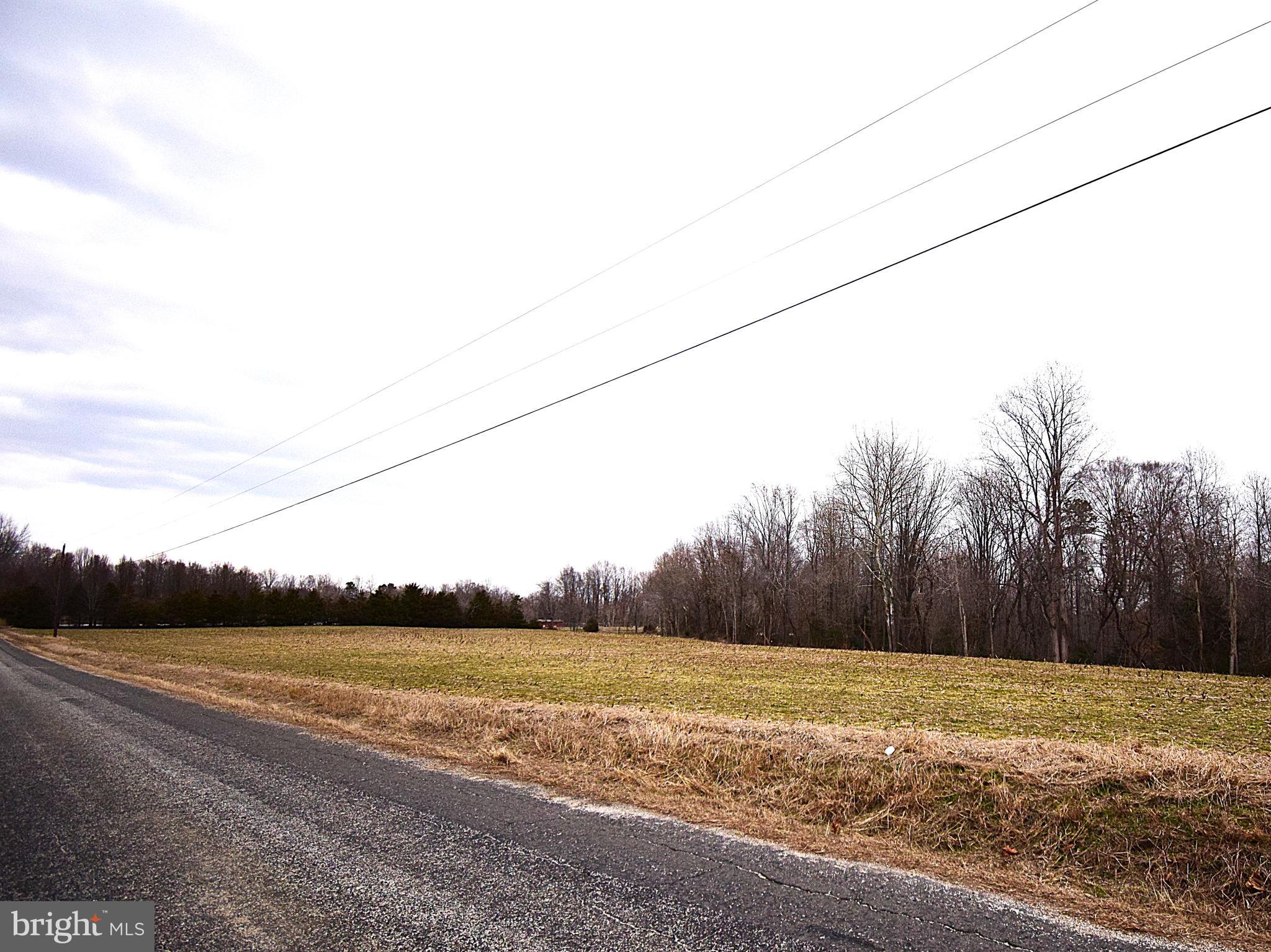 Fork Bridge Road Milford, VA 22514 - Photo 2 of 8 Road Frontage
