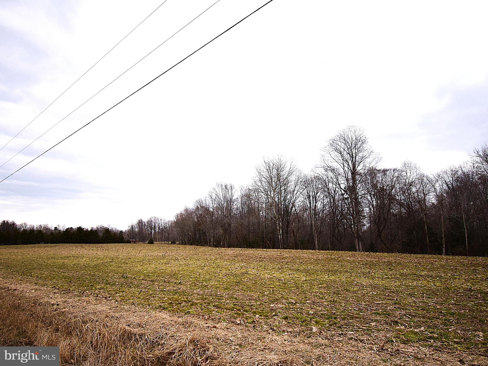 Fork Bridge Road Milford, VA 22514 - Photo 3 of 8 open land being farmed