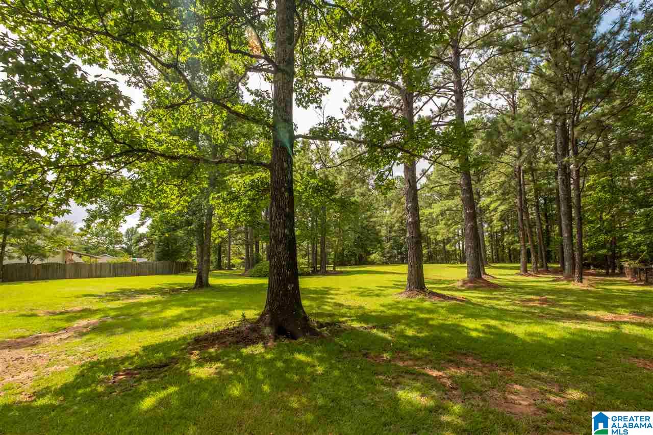 5310 South Shades Crest Road Helena, AL 35022 - Photo 31 of 32