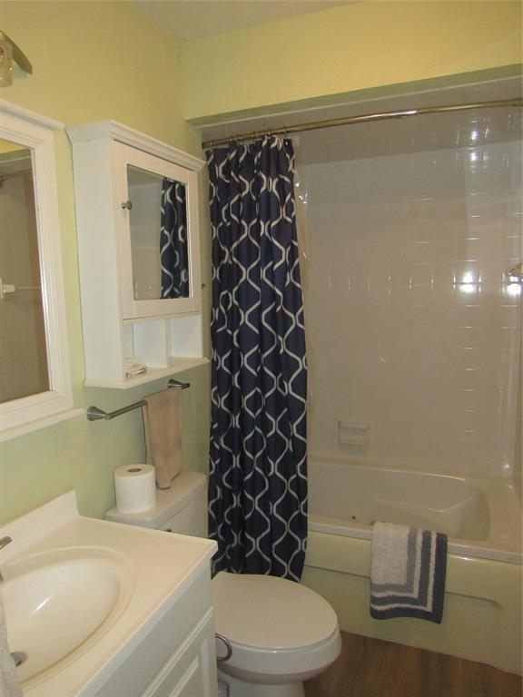 498 Homesite Road Pottsboro, TX 75076 - Photo 17 of 35 a bathroom with a sink a toilet and shower curtain