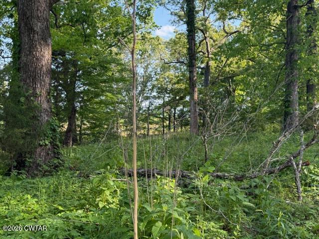 0 McBride Cemetery Road Sardis, TN 38371 - Photo 25 of 41 44