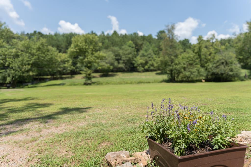 2153 Martins Creek Road Murphy, NC 28906 - Photo 40 of 72