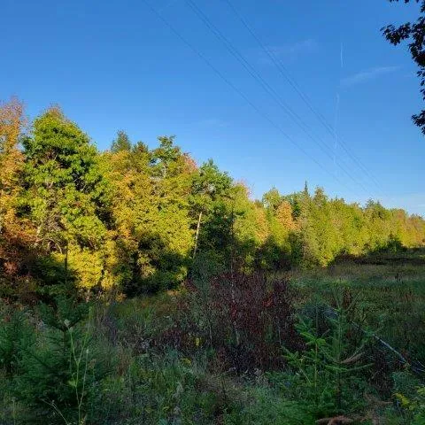 $135,000 | M14-l17 Pattagumpus Road, Medway, ME 04460