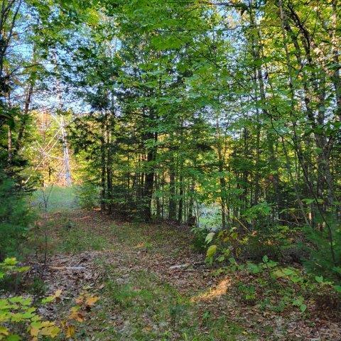 M14-l17 Pattagumpus Road Medway, ME 04460 - Photo 2 of 4 20250918_165025