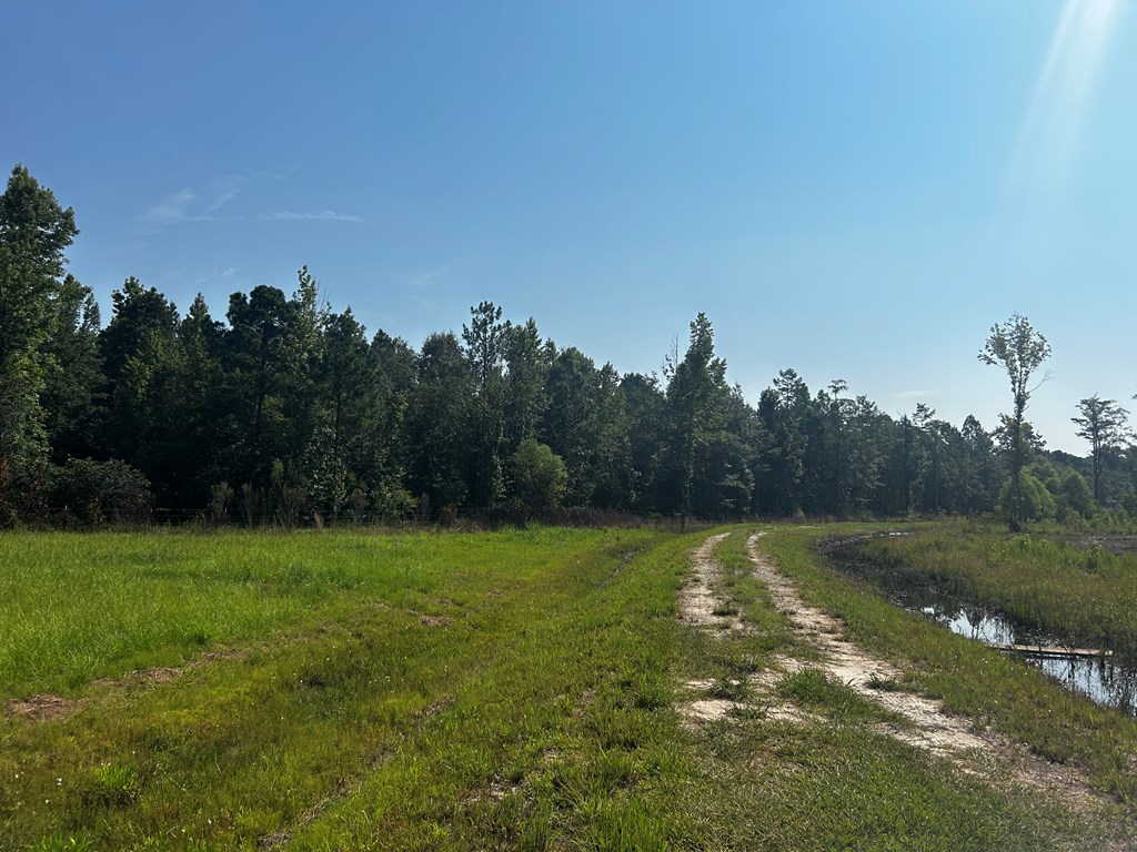 0 Willie Varnum Road Dothan, AL 36301 - Photo 9 of 9