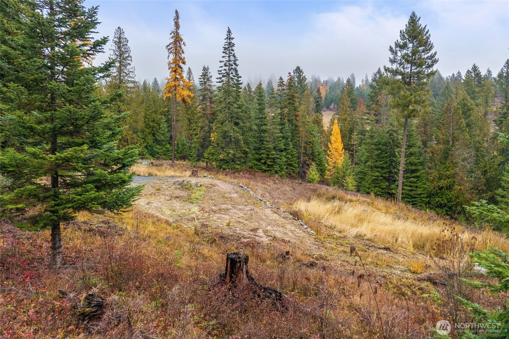 717 C Finley Gulch Road Colville, WA 99114 - Photo 12 of 13