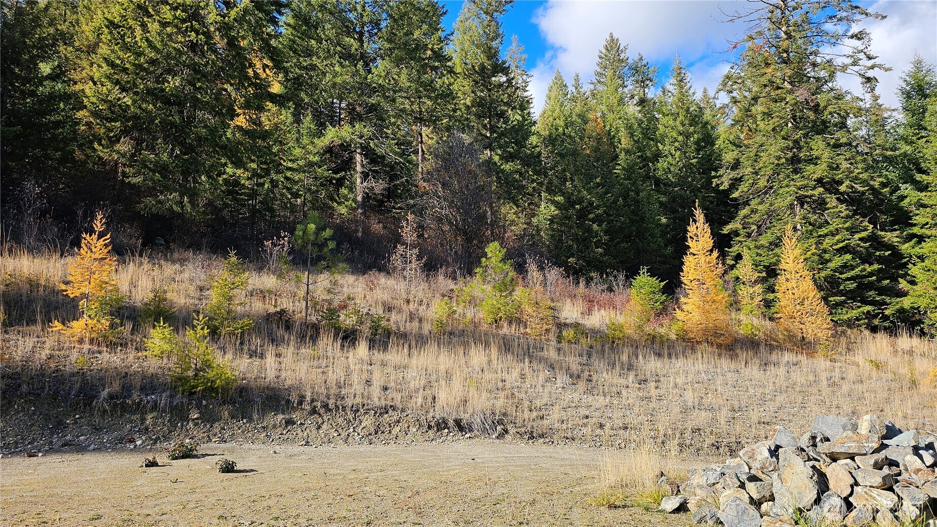 717 C Finley Gulch Road Colville, WA 99114 - Photo 3 of 13