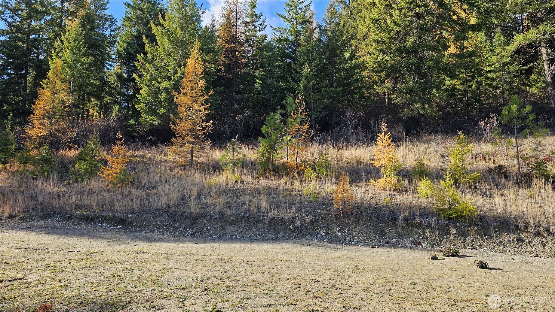 717 C Finley Gulch Road Colville, WA 99114 - Photo 4 of 13