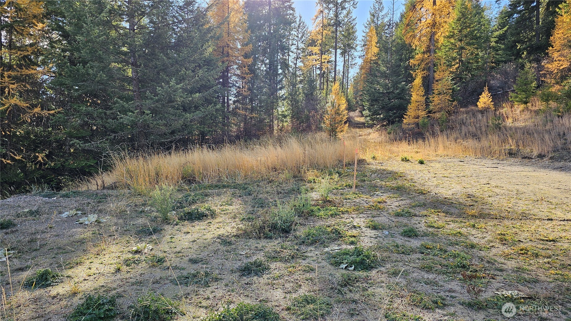 717 C Finley Gulch Road Colville, WA 99114 - Photo 5 of 13