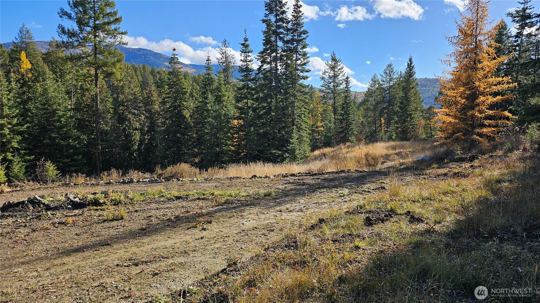 717 C Finley Gulch Road Colville, WA 99114 - Photo 6 of 13