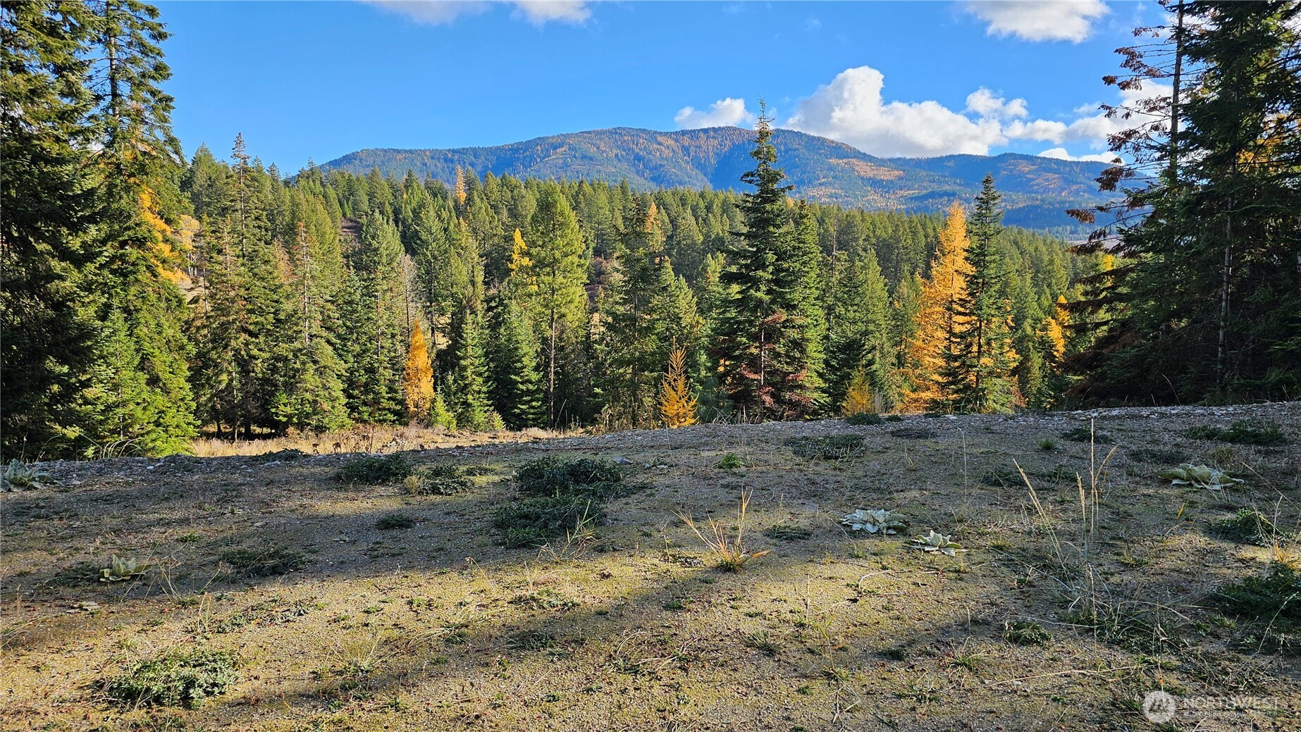 717 C Finley Gulch Road Colville, WA 99114 - Photo 7 of 13