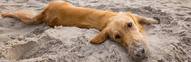 $2,800,000 | 273 Watermark Way Port Street, Port St. Joe, FL 32456