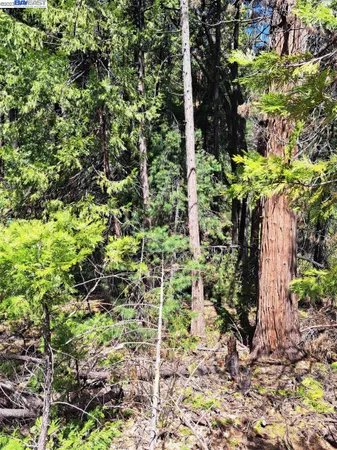 $42,500 | El Dorado County, Pollock Pines, CA 95726