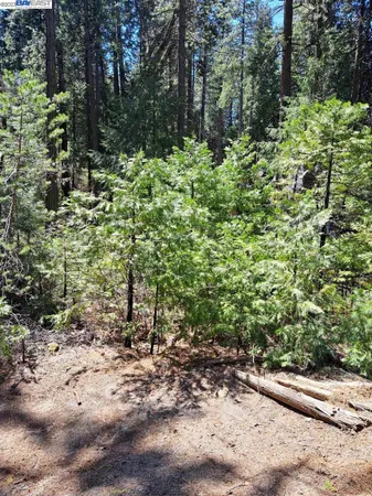 $42,500 | El Dorado County, Pollock Pines, CA 95726