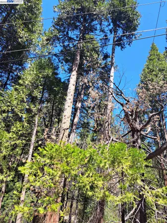 $42,500 | El Dorado County, Pollock Pines, CA 95726