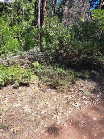 $42,500 | El Dorado County, Pollock Pines, CA 95726