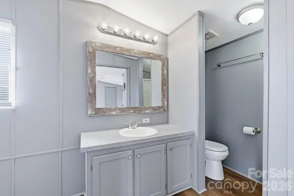 a bathroom with a toilet a sink and mirror